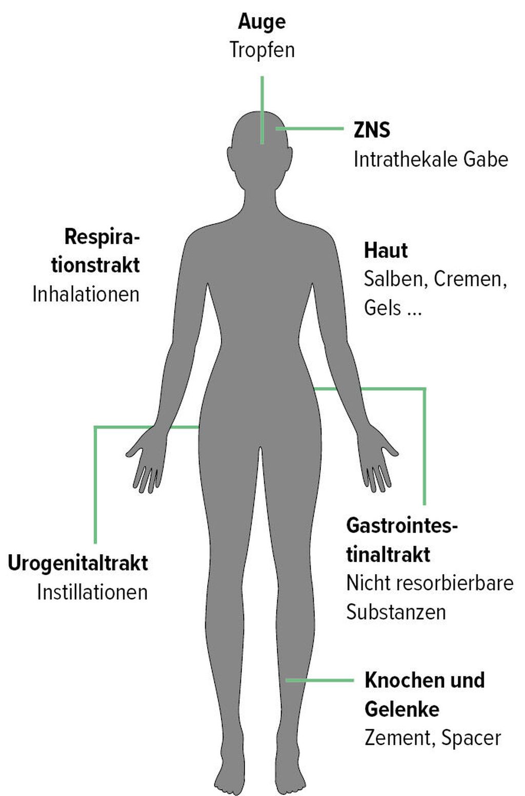 Lokale Antibiotikatherapie: einige Indikationen mit guter Evidenz